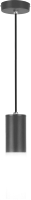 Светильник уличный Elektrostandard Techno 5602 (серый) - 