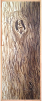 Деревянная дверь для бани Dlyabani Белочка 80x170 / 407078 (массив липа, коробка хвоя) - 