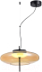 Потолочный светильник ST Luce SL6500.413.01 - 