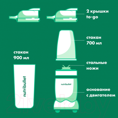 Блендер стационарный NutriBullet NB100DG Pro