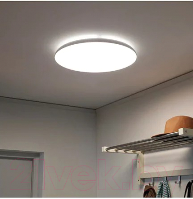 Потолочный светильник Ikea Нимоне 703.620.93