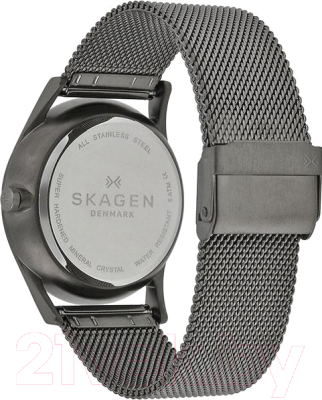 Часы наручные мужские Skagen SKW6180