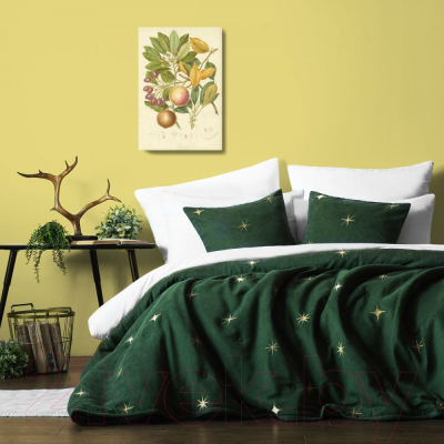Набор текстиля для спальни Pasionaria Бэлли 160x220 с наволочками (изумрудный)
