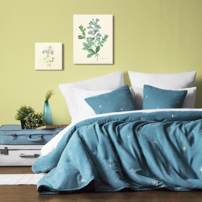Набор текстиля для спальни Pasionaria Бэлли 160x220 с наволочками (голубой)