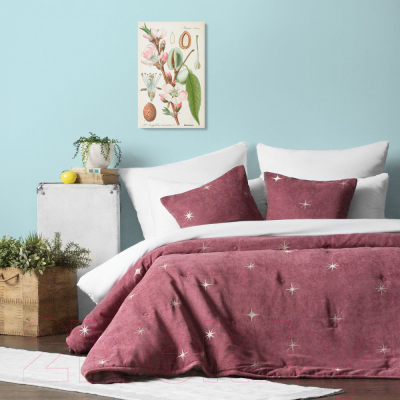 Набор текстиля для спальни Pasionaria Бэлли 160x220 с наволочками (розовый)