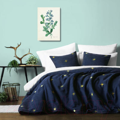 Набор текстиля для спальни Pasionaria Бэлли 230x250 с наволочками (синий)