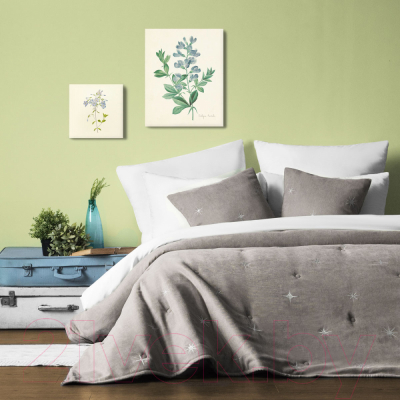 Набор текстиля для спальни Pasionaria Бэлли 230x250 с наволочками (серый)