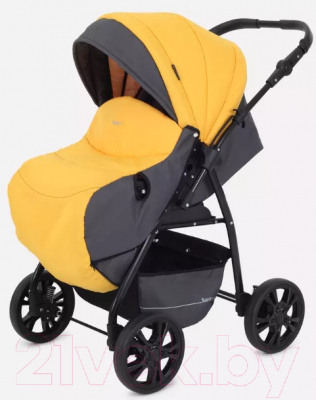Детская универсальная коляска Rant Basic Riva 2 в 1 / PW 01 (желтый)