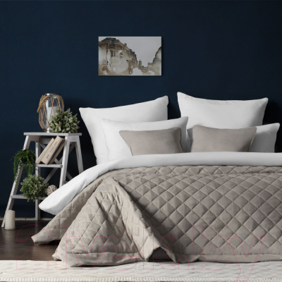Набор текстиля для спальни Pasionaria Ким 230x250 с наволочками (светло-серый)