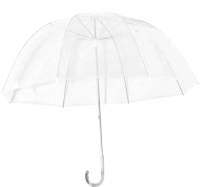 Зонт-трость RST Umbrella 111A-BW (прозрачный/белый) - 