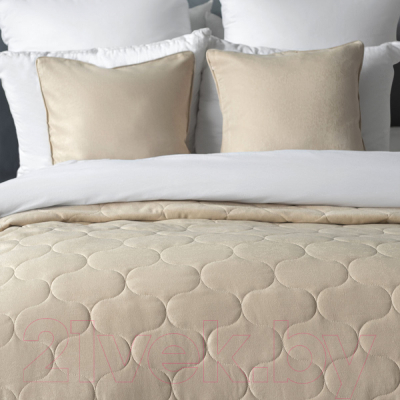 Набор текстиля для спальни Pasionaria Довер 230x250 с наволочками (бежевый)