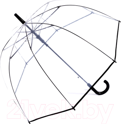 Зонт-трость RST Umbrella 116А (прозрачный/черный)