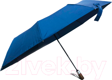 Зонт складной RST Umbrella 3902
