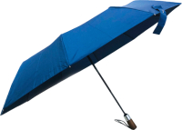 Зонт складной RST Umbrella 3902 (синий) - 