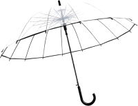 Зонт-трость RST Umbrella 688 (прозрачный/черный) - 