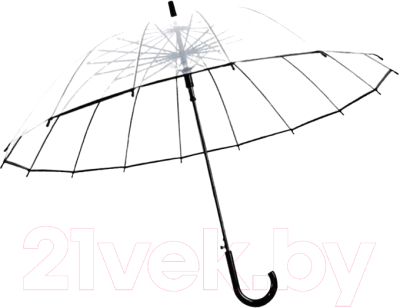 Зонт-трость RST Umbrella 688 (прозрачный/черный)