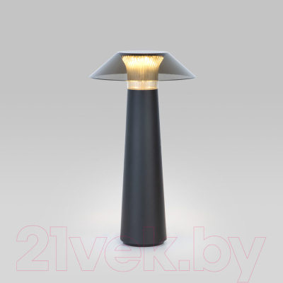 Прикроватная лампа Elektrostandard Future / TL70200 (черный)