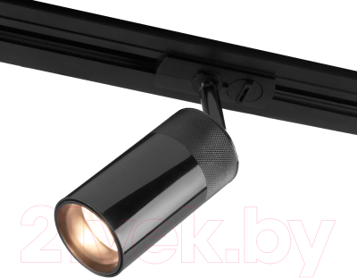 Трековый светильник Elektrostandard Riffe 9W 4200K / 85512/01