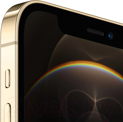 Смартфон Apple iPhone 12 Pro 256GB / 2CMGMR3 восстановленный Breezy Грейд С (золото)