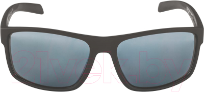 Очки солнцезащитные Alpina Sports Nacan I / A86493-21 (кофейный/серый матовый)