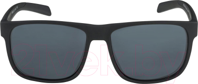 Очки солнцезащитные Alpina Sports Nacan I / A86623-33 (черный матовый)