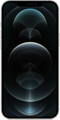Смартфон Apple iPhone 12 Pro 256GB / 2BMGMQ3 восстановленный Breezy Грейд B (серебристый)