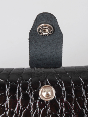 Изображение товара Портмоне Cagia 844120