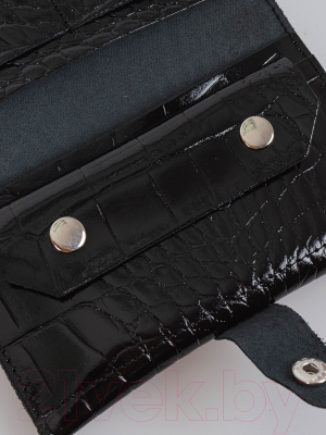 Изображение товара Портмоне Cagia 844120