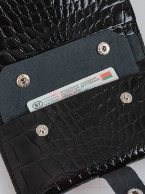 Изображение товара Портмоне Cagia 844120