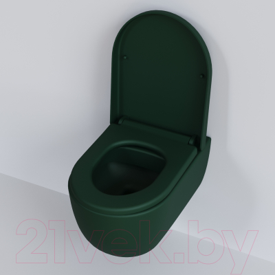 Сиденье для унитаза Ambassador 102T20701 (зеленый матовый)