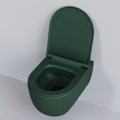 Сиденье для унитаза Ambassador 102T20701S (зеленый матовый)