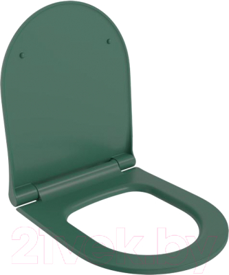 Сиденье для унитаза Ambassador 102T20701S (зеленый матовый)