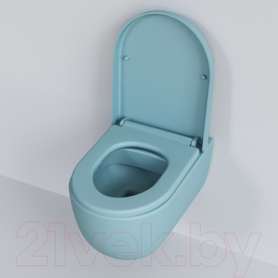 Сиденье для унитаза Ambassador 102T20801 (голубой матовый)