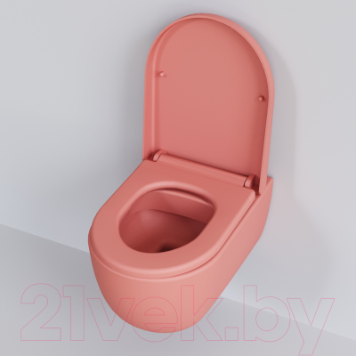 Сиденье для унитаза Ambassador 102T20901 (розовый матовый)