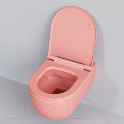 Сиденье для унитаза Ambassador 102T20901S (розовый матовый)