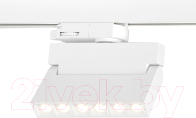 Трековый светильник Elektrostandard Garda 10W 4200K / 85024/01 (белый)
