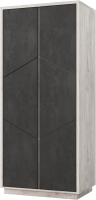 Шкаф Мебель-КМК Нирвана 2Д 0555.6-01 (ледяное дерево/камень серый) - 