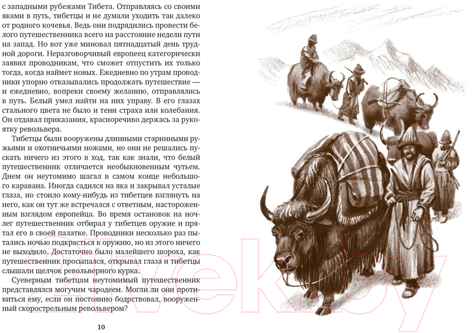 Художественная книга Азбука Томек ищет снежного человека (Шклярский А.) — фото 2