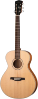 Акустическая гитара Parkwood S61 (с чехлом) - 
