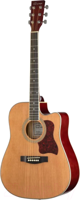 Акустическая гитара Caraya F641-N