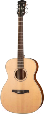 Акустическая гитара Parkwood S22-GT (с чехлом)