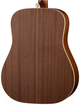 Акустическая гитара Parkwood S21-GT (с чехлом)