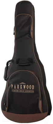 Акустическая гитара Parkwood S21-GT (с чехлом)