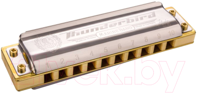 Губная гармошка Hohner Marine Band Thunderbird Low A / M201173X