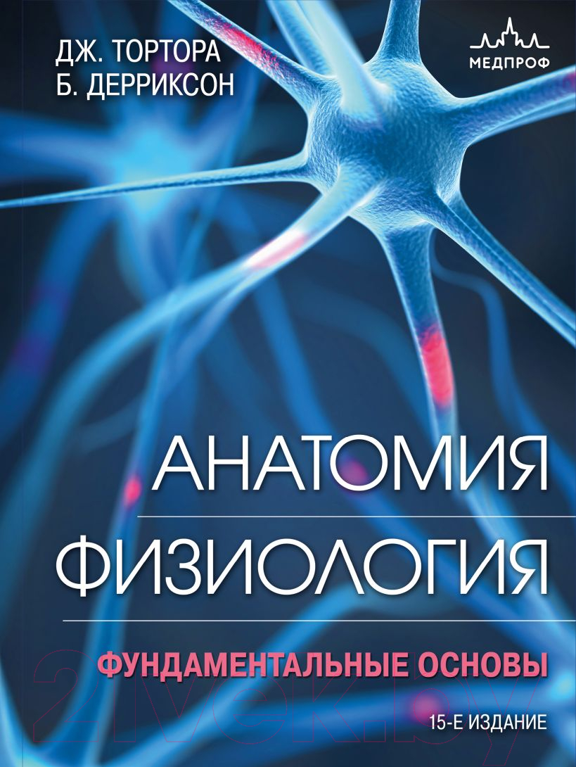 Книга Эксмо Анатомия. Физиология. Фундаментальные основы