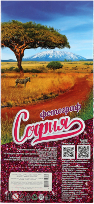Кукла с аксессуарами Карапуз София / 66001J-PH2-S-BB