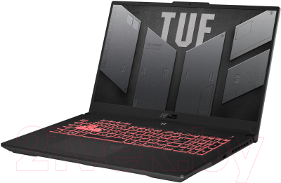 Игровой ноутбук Asus TUF Gaming A17 FA707RR-HX001