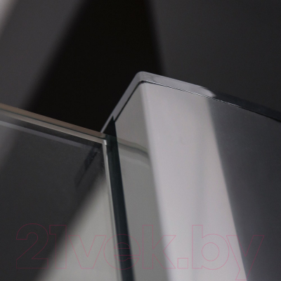 Душевой уголок Roth Elegant Line 100x100 / GDOL1+GDOP1 (хром/прозрачное стекло)