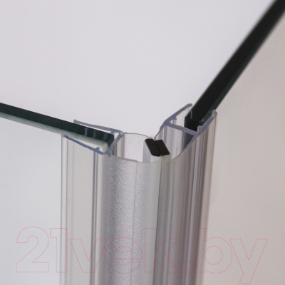 Душевой уголок Roth Elegant Line 100x100 / GDOL1+GDOP1 (хром/прозрачное стекло)