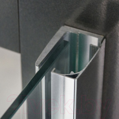 Душевой уголок Roth Elegant Line 100x100 / GDOP1+GB (хром/прозрачное стекло)